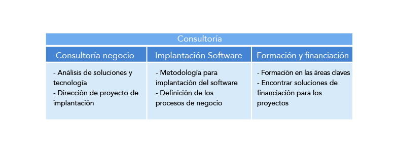 Servicio de consultoría